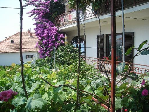 Apartment Knez Trogir Eksteriør bilde